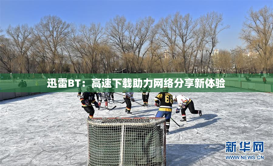 迅雷BT：高速下载助力网络分享新体验