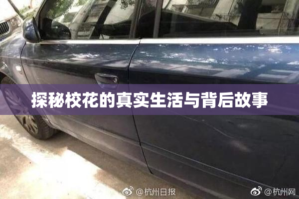 探秘校花的真实生活与背后故事