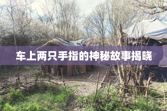 车上两只手指的神秘故事揭晓