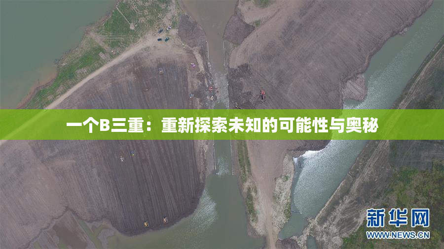 一个B三重：重新探索未知的可能性与奥秘