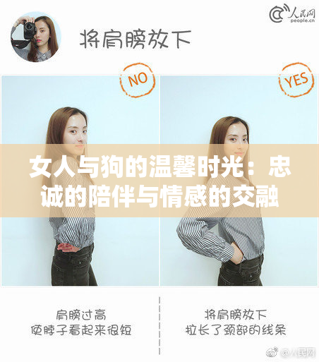 女人与狗的温馨时光：忠诚的陪伴与情感的交融