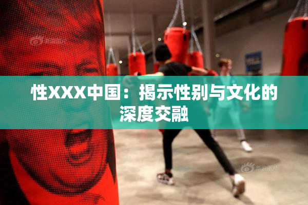 性XXX中国：揭示性别与文化的深度交融