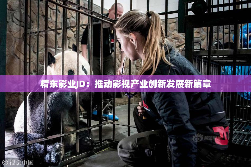 精东影业JD：推动影视产业创新发展新篇章