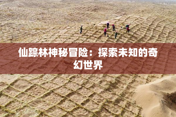 仙踪林神秘冒险：探索未知的奇幻世界