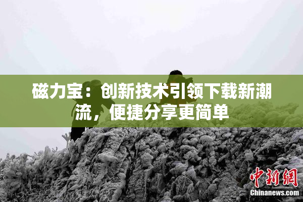 磁力宝：创新技术引领下载新潮流，便捷分享更简单
