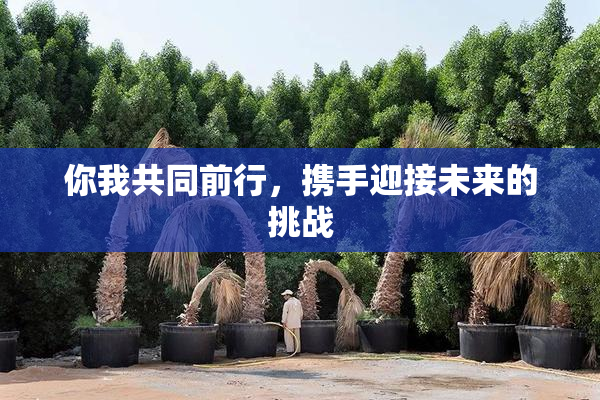 你我共同前行，携手迎接未来的挑战