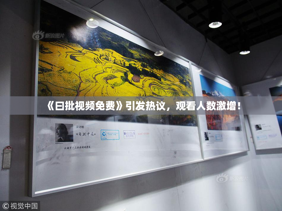 《曰批视频免费》引发热议，观看人数激增！