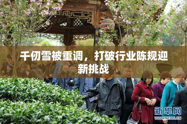 千仞雪被重调，打破行业陈规迎新挑战