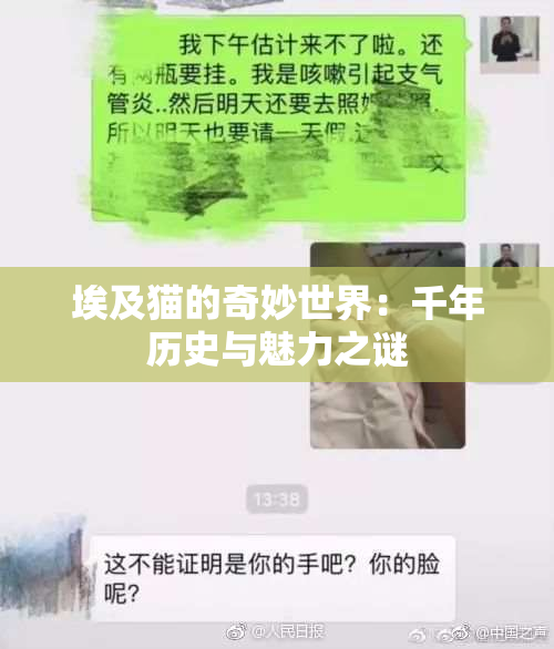 埃及猫的奇妙世界：千年历史与魅力之谜