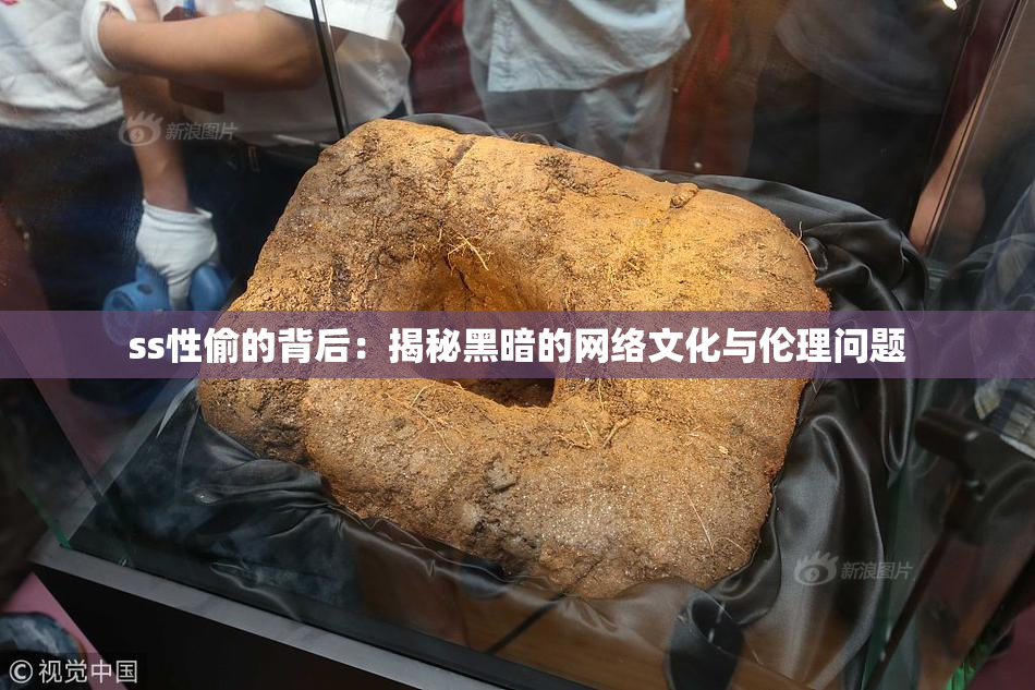 ss性偷的背后：揭秘黑暗的网络文化与伦理问题