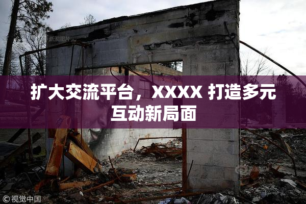 扩大交流平台，XXXX 打造多元互动新局面