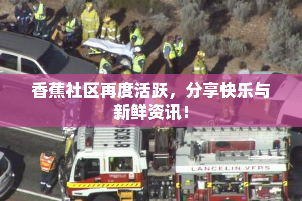 香蕉社区再度活跃，分享快乐与新鲜资讯！