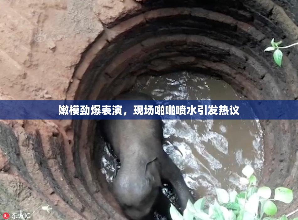 嫩模劲爆表演，现场啪啪喷水引发热议