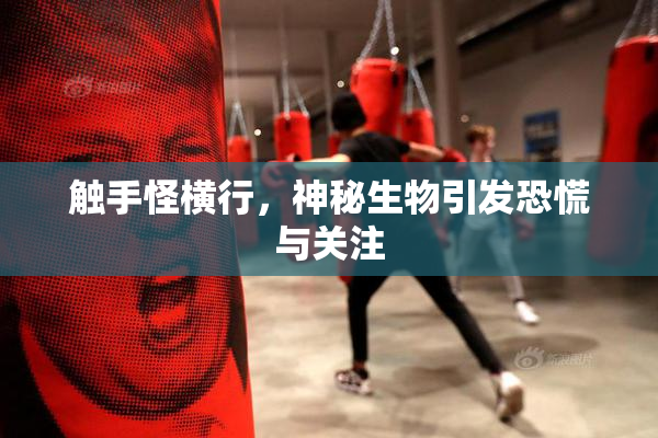 触手怪横行，神秘生物引发恐慌与关注