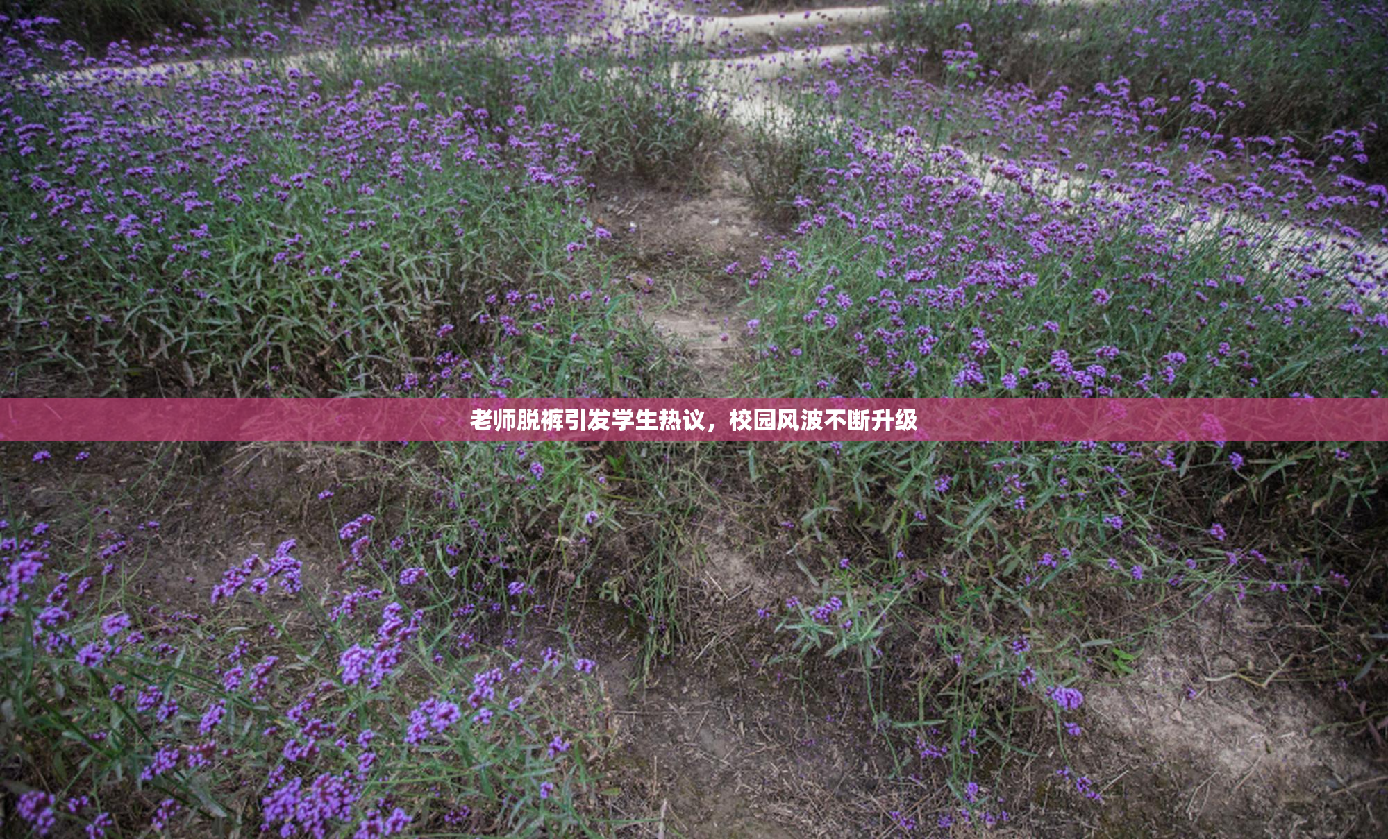 老师脱裤引发学生热议，校园风波不断升级