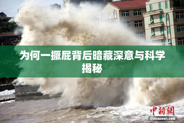 为何一撅屁背后暗藏深意与科学揭秘