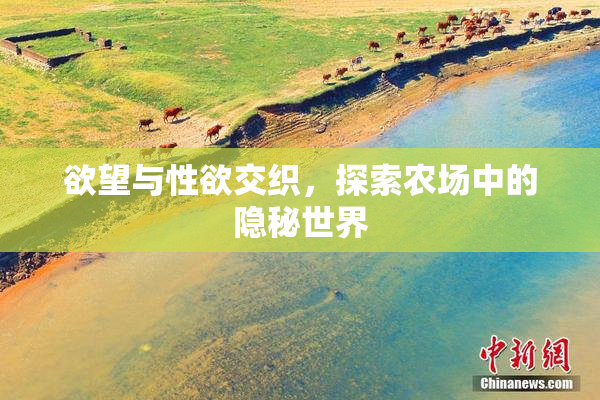 欲望与性欲交织，探索农场中的隐秘世界