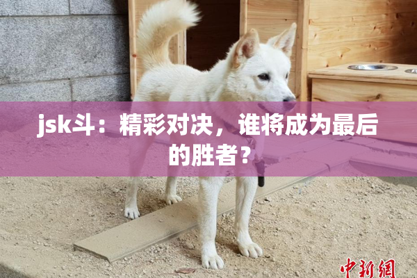 jsk斗：精彩对决，谁将成为最后的胜者？
