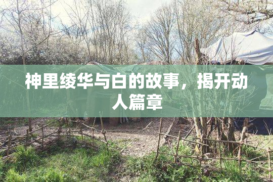 神里绫华与白的故事，揭开动人篇章
