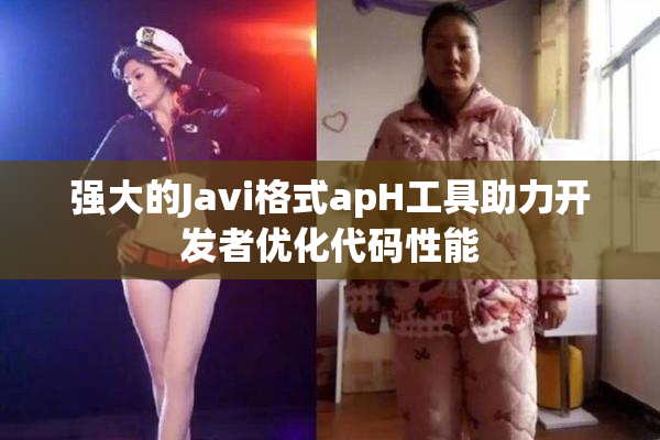 强大的Javi格式apH工具助力开发者优化代码性能