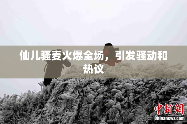 仙儿骚麦火爆全场，引发骚动和热议