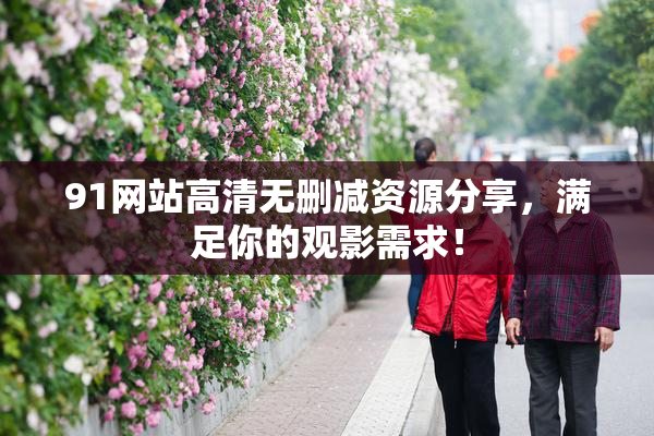 91网站高清无删减资源分享，满足你的观影需求！