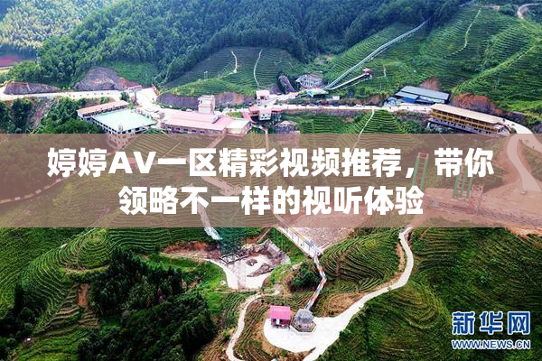 婷婷AV一区精彩视频推荐，带你领略不一样的视听体验