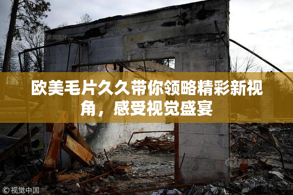 欧美毛片久久带你领略精彩新视角，感受视觉盛宴