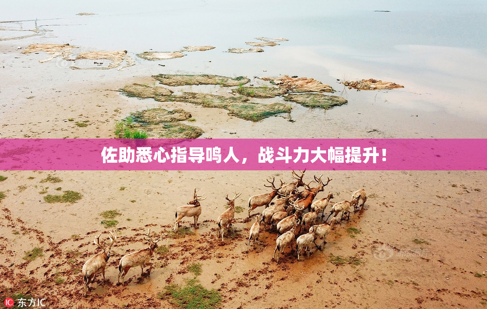 佐助悉心指导鸣人，战斗力大幅提升！