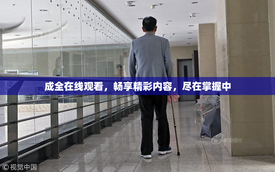 成全在线观看，畅享精彩内容，尽在掌握中