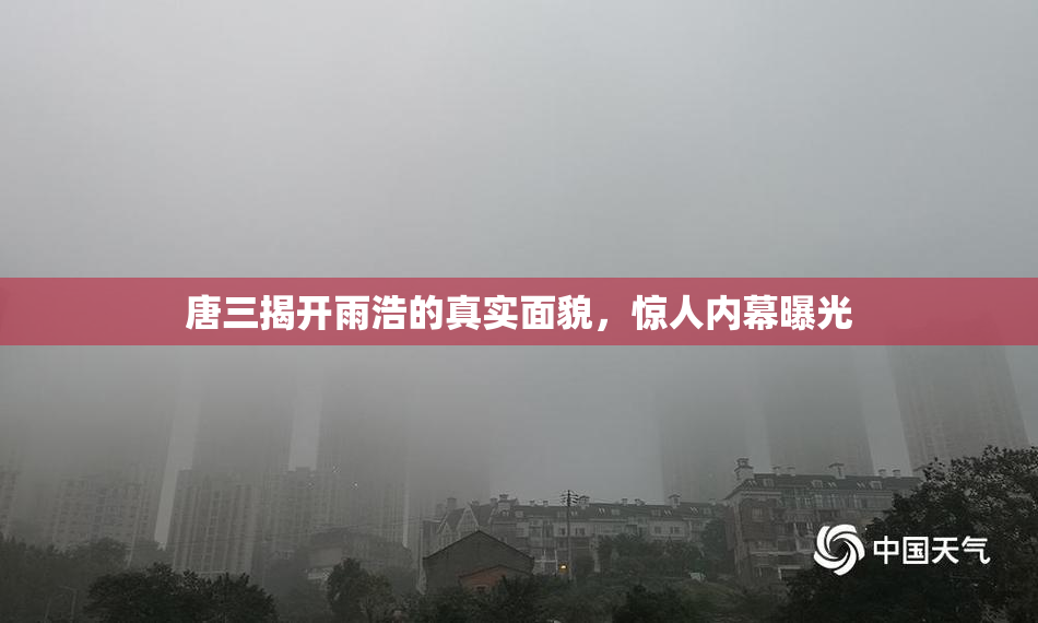 唐三揭开雨浩的真实面貌，惊人内幕曝光