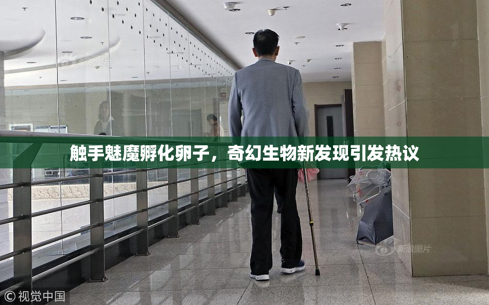 触手魅魔孵化卵子，奇幻生物新发现引发热议