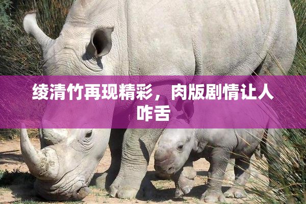 绫清竹再现精彩，肉版剧情让人咋舌