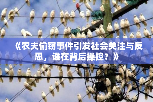 《农夫偷窃事件引发社会关注与反思，谁在背后操控？》