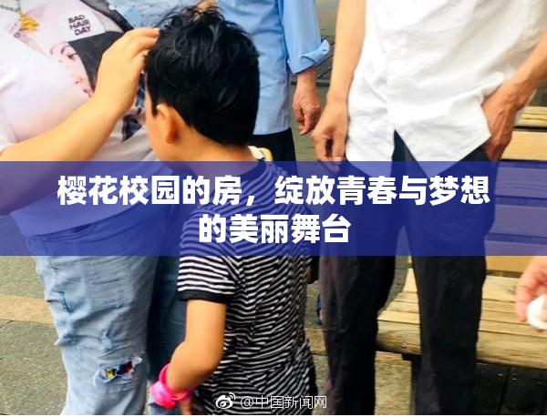樱花校园的房，绽放青春与梦想的美丽舞台