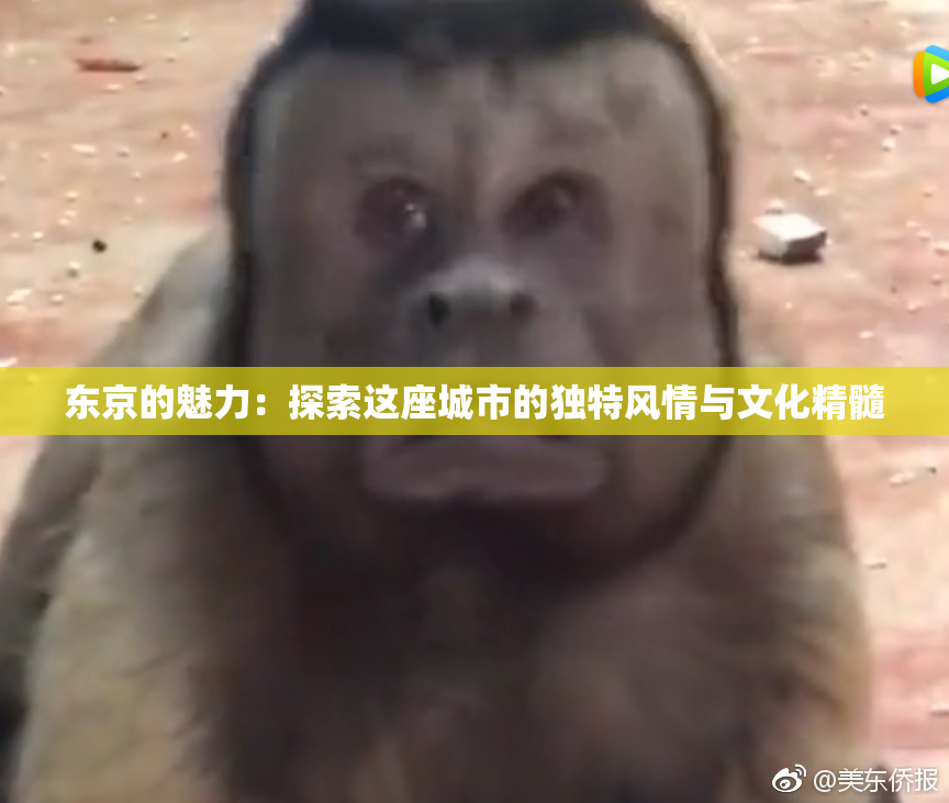 东京的魅力：探索这座城市的独特风情与文化精髓