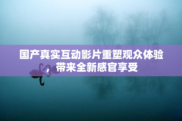 国产真实互动影片重塑观众体验，带来全新感官享受