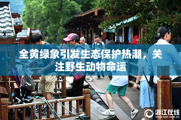 全黄绿象引发生态保护热潮，关注野生动物命运