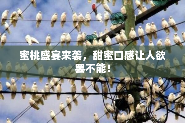蜜桃盛宴来袭，甜蜜口感让人欲罢不能！