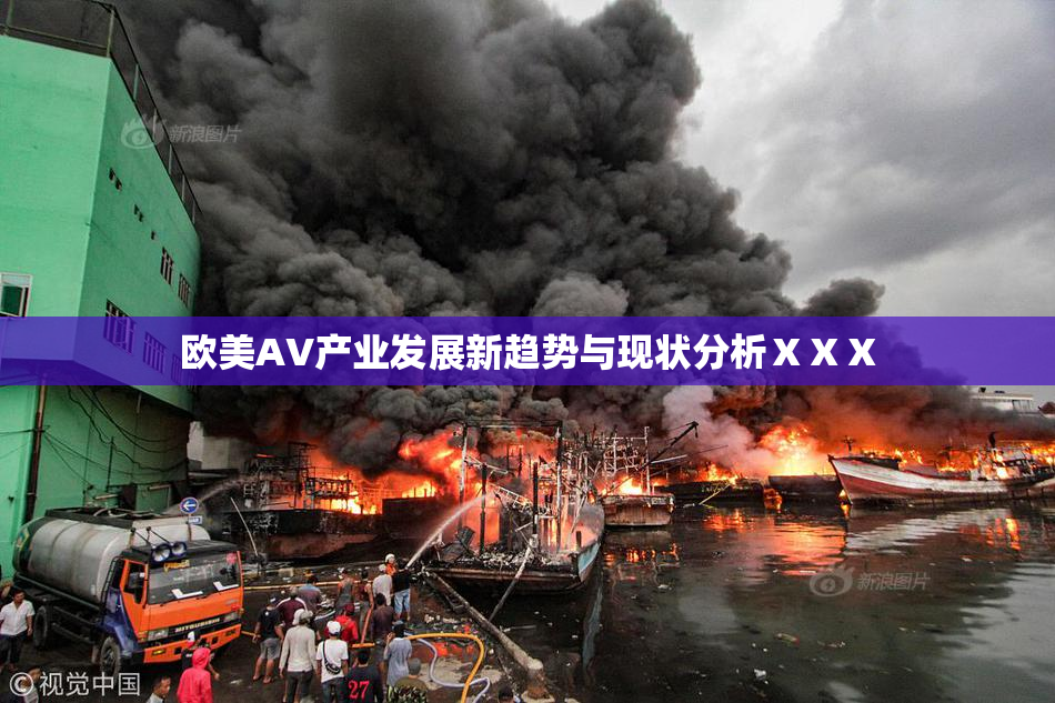 欧美AV产业发展新趋势与现状分析ⅩⅩⅩ