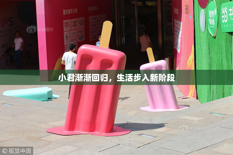 小君渐渐回归，生活步入新阶段