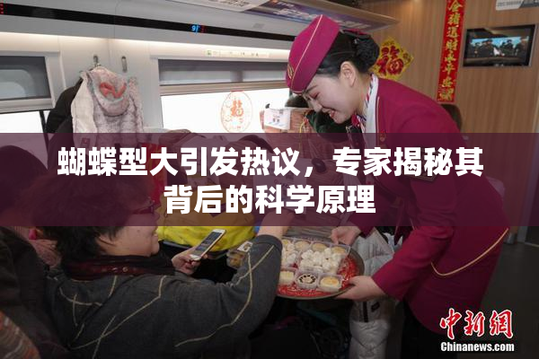 蝴蝶型大引发热议，专家揭秘其背后的科学原理