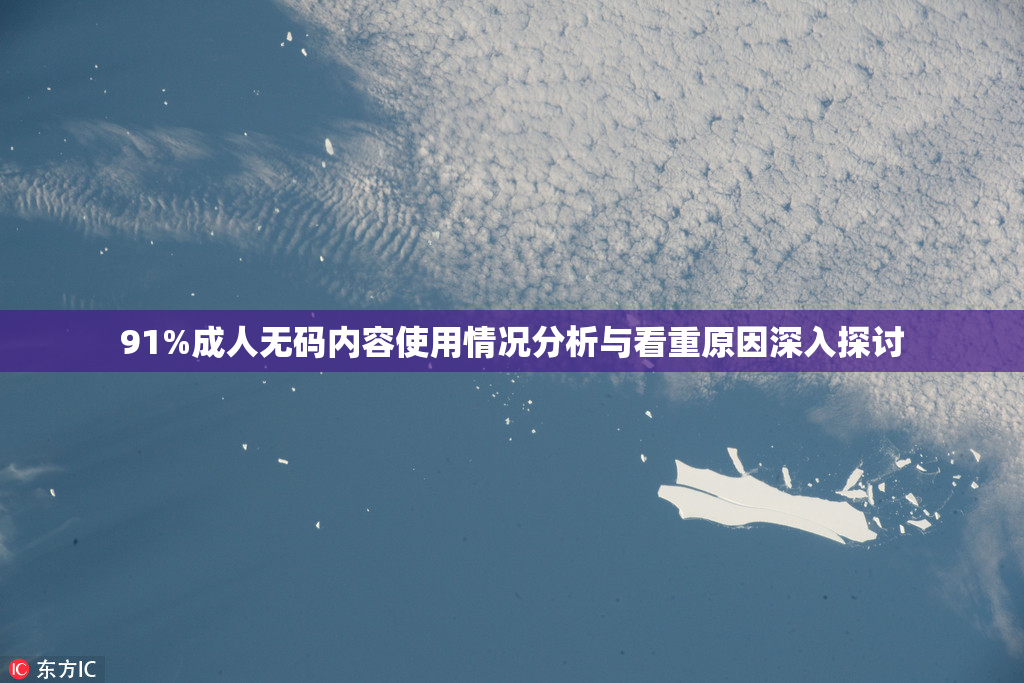 91%成人无码内容使用情况分析与看重原因深入探讨