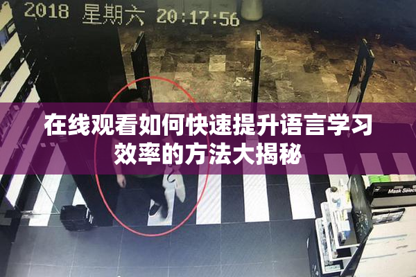 在线观看如何快速提升语言学习效率的方法大揭秘