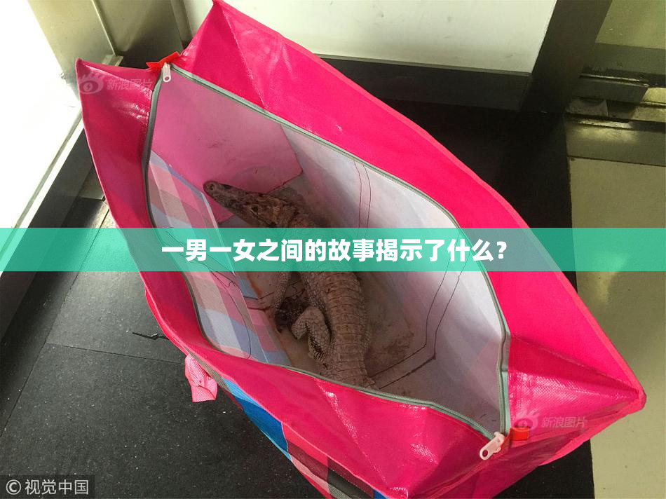 一男一女之间的故事揭示了什么？
