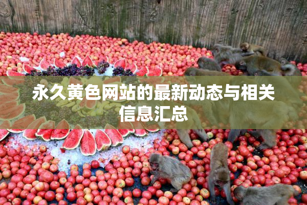永久黄色网站的最新动态与相关信息汇总