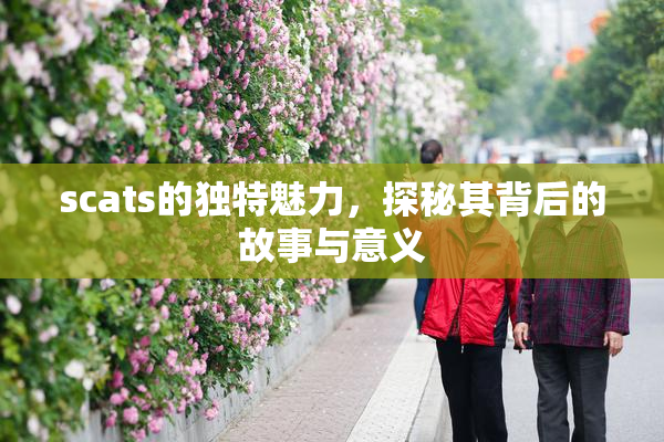 scats的独特魅力，探秘其背后的故事与意义