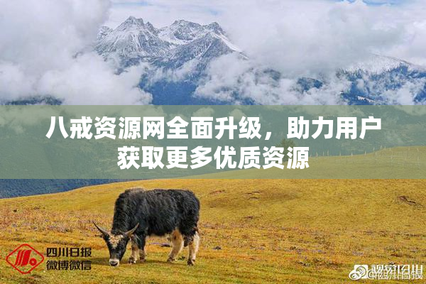 八戒资源网全面升级，助力用户获取更多优质资源