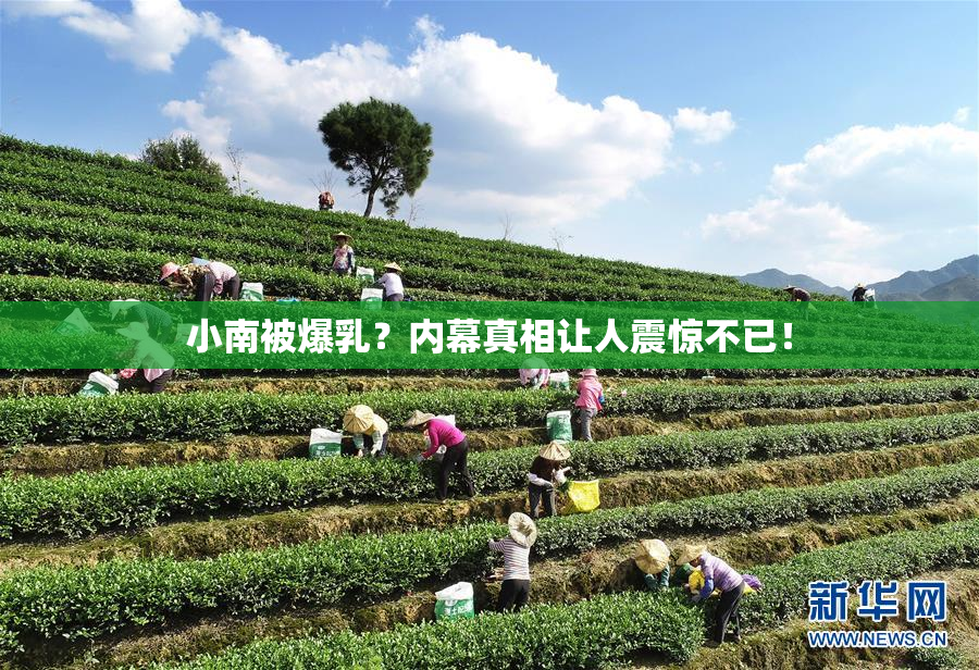 小南被爆乳？内幕真相让人震惊不已！