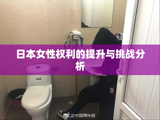 日本女性权利的提升与挑战分析